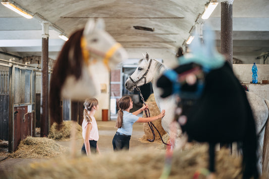 6 důvodů, proč vyzkoušet hobby horsing