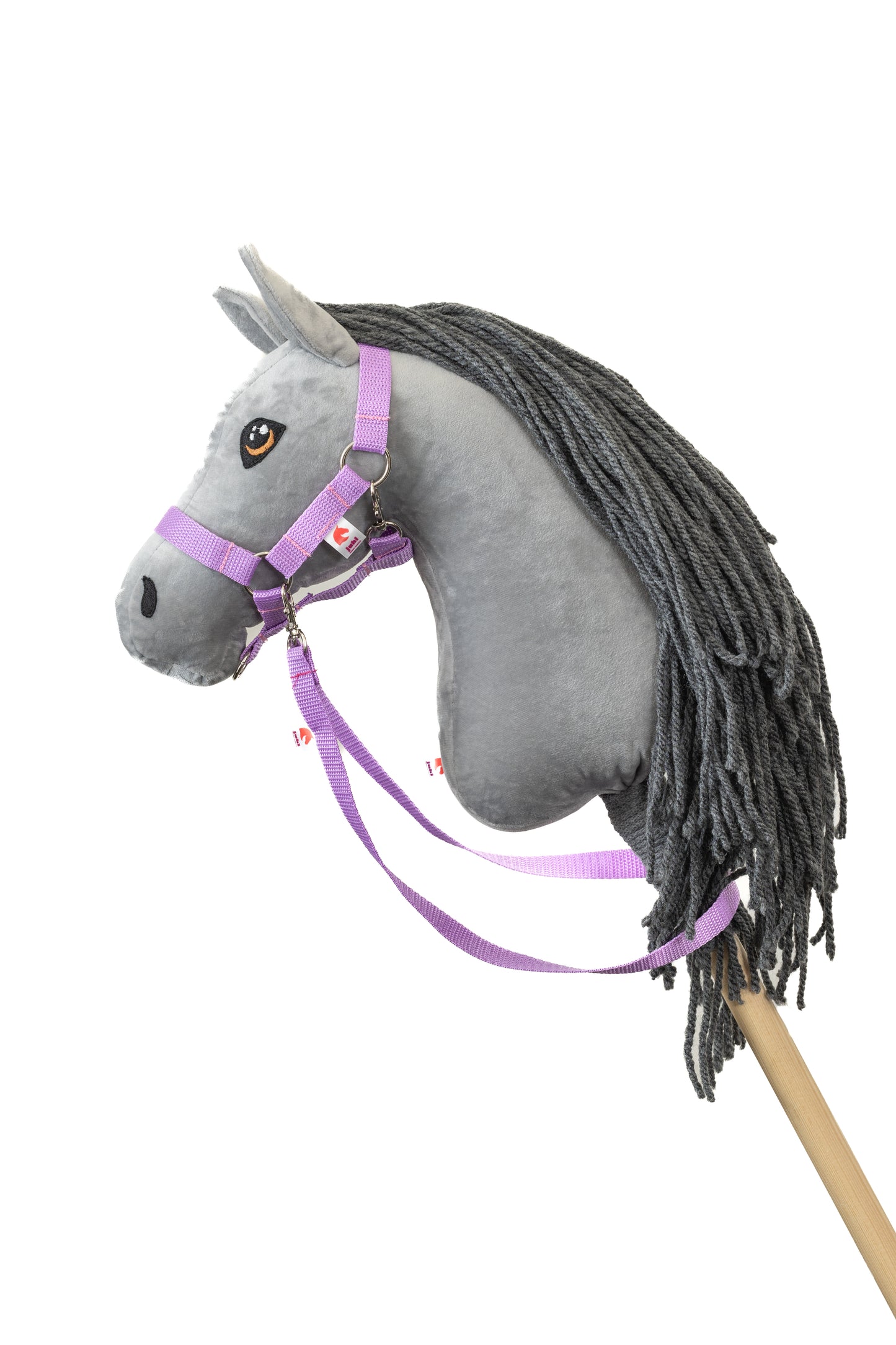 Halfter mit Zügel - Lila - Pferd Groß