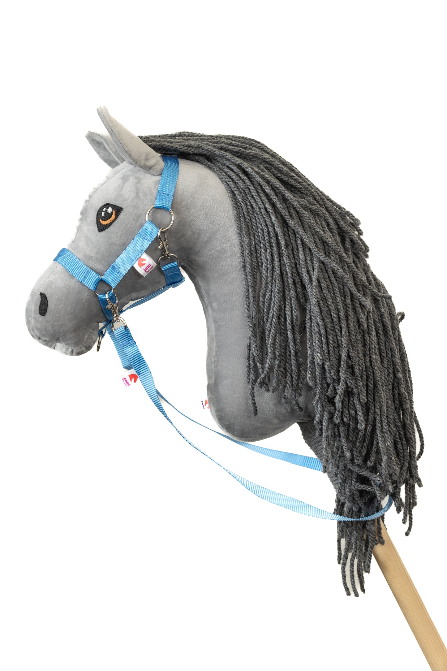 Halfter mit Zügel - Blau - Pferd Groß