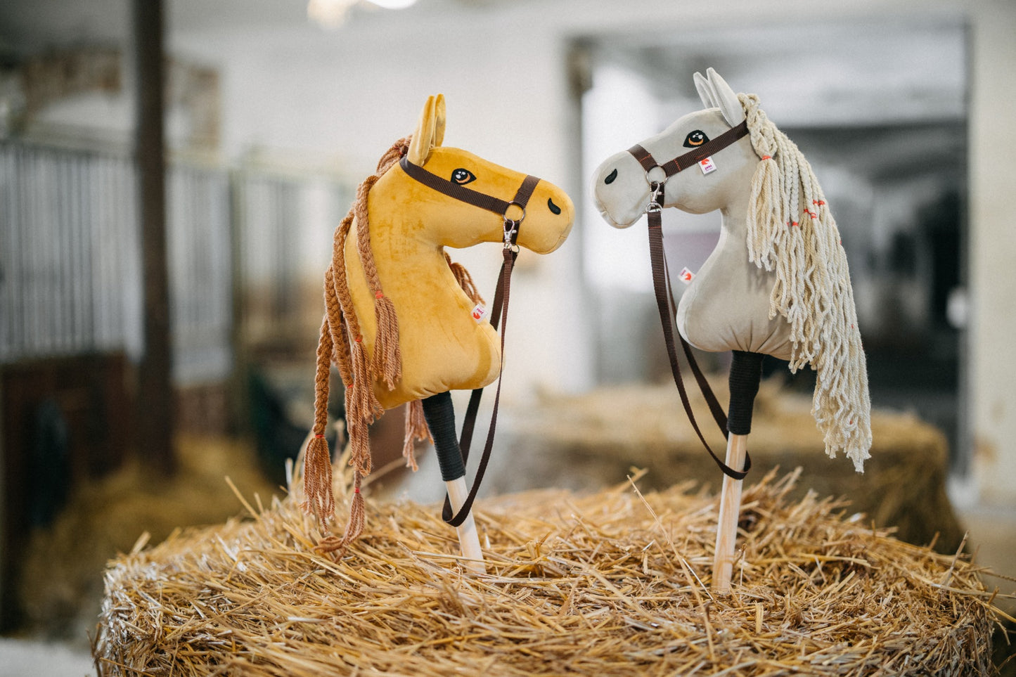 Cora - natürliche Mähne - Fohlen