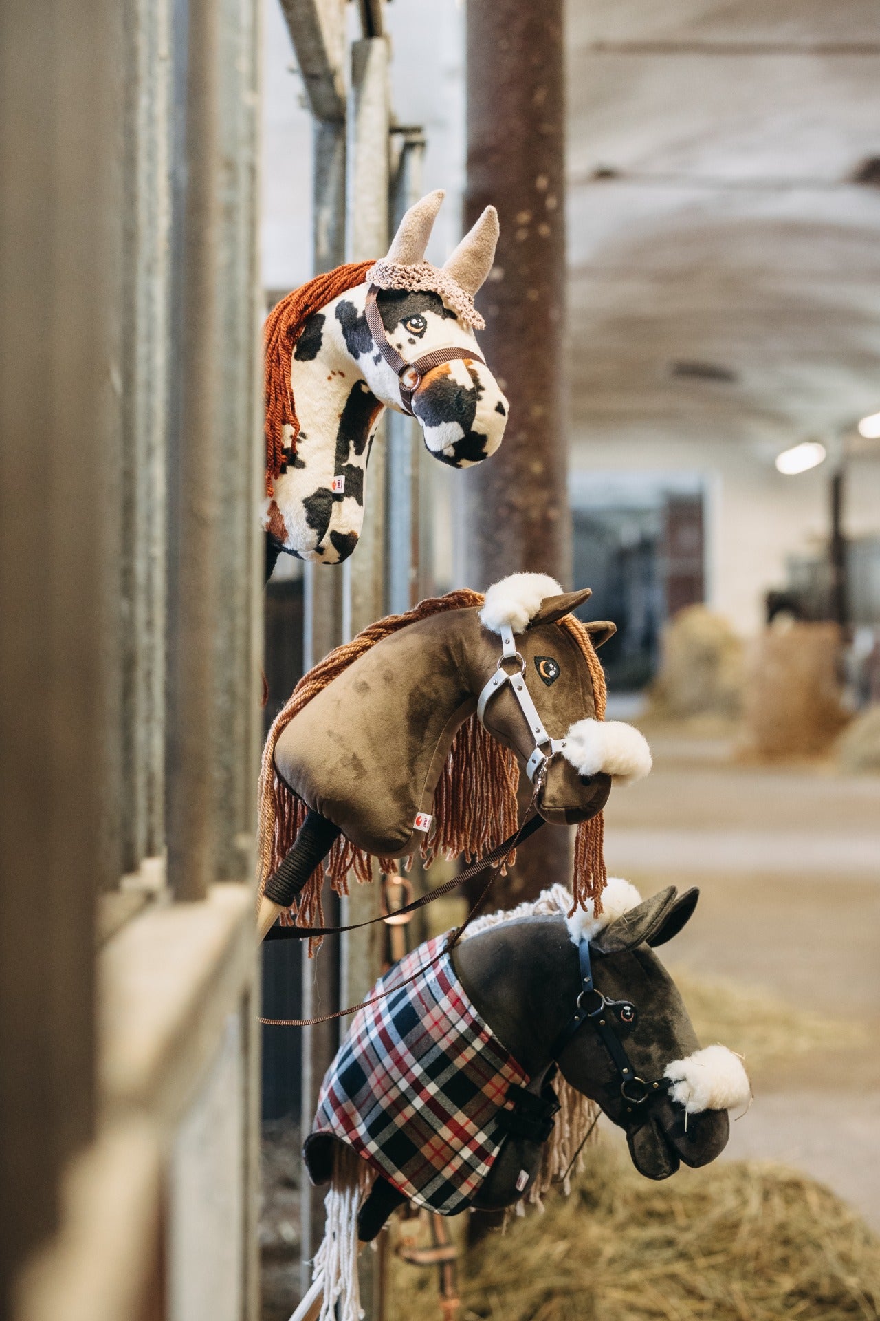 Chelsea - Dunkelbraune Mähne - Fohlen