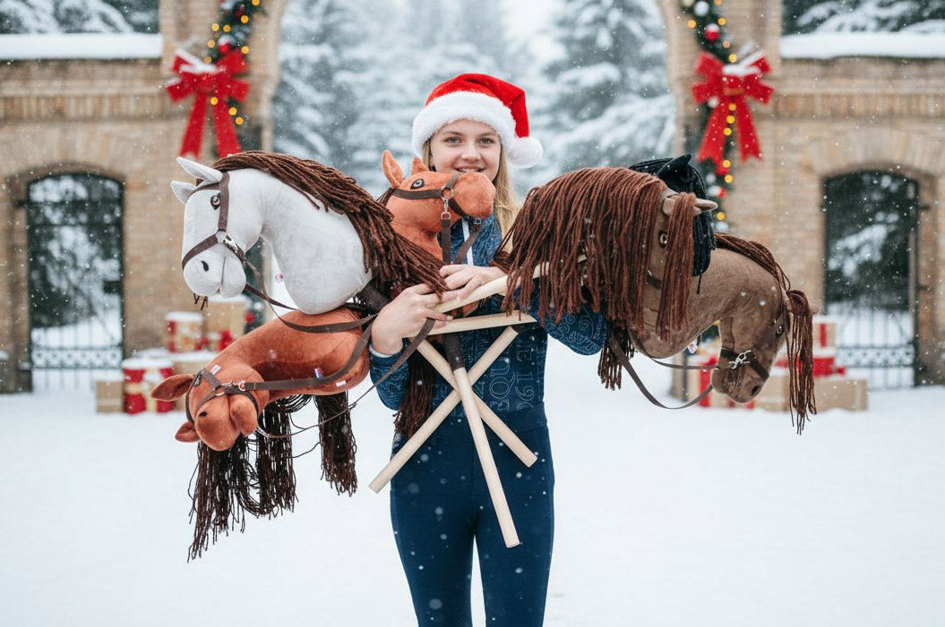 Vánoční Kolo štěstí je tu! Roztočte to a nadělte pod stromeček vysněného hobby horse 🎄🎁