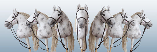 Seznamte se s Juráškem: Limitovaná edice, kterou jste pomohli stvořit i pojmenovat 🎨🐴