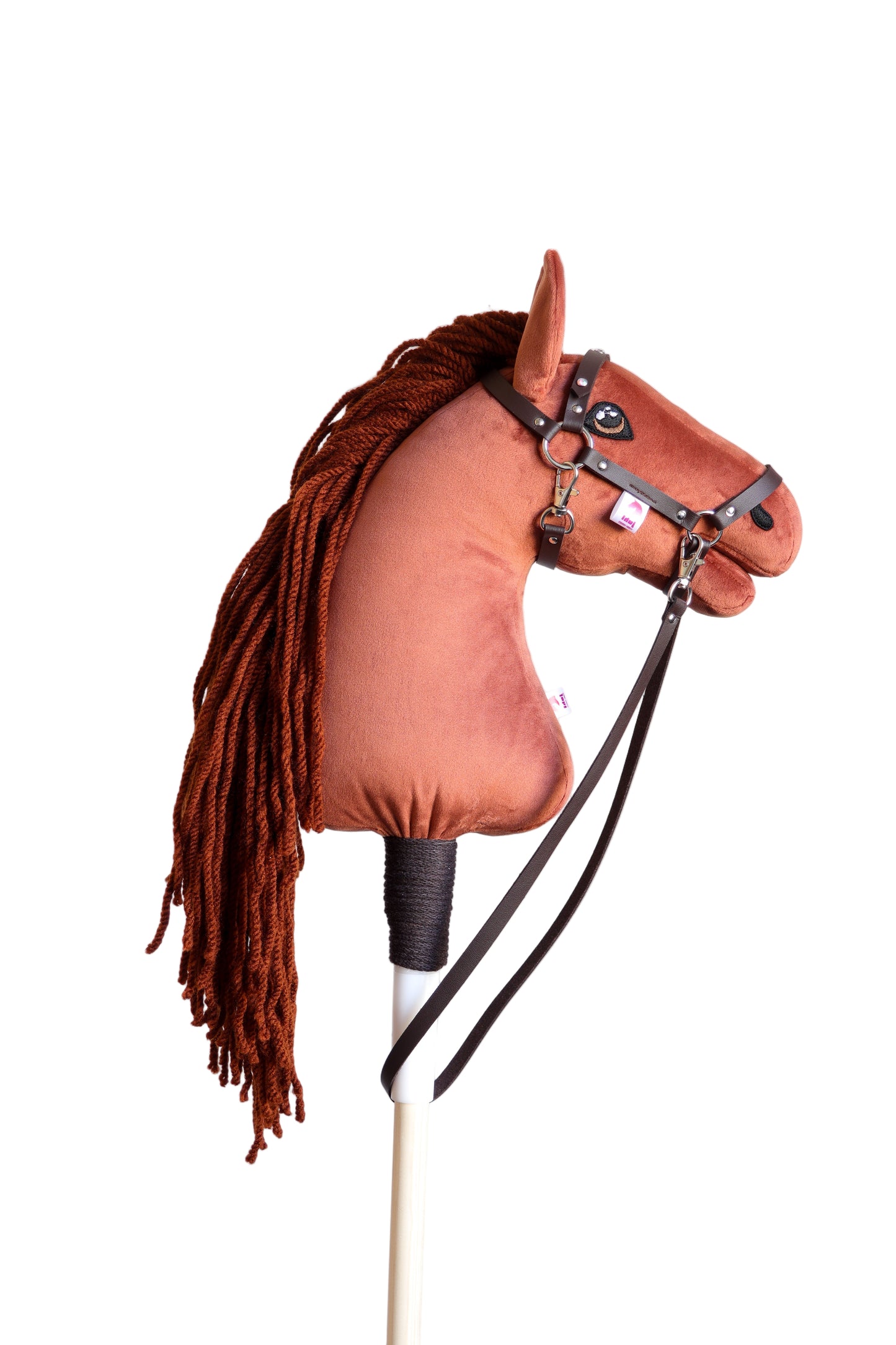 Terra - Rostige Mähne - Sportpony