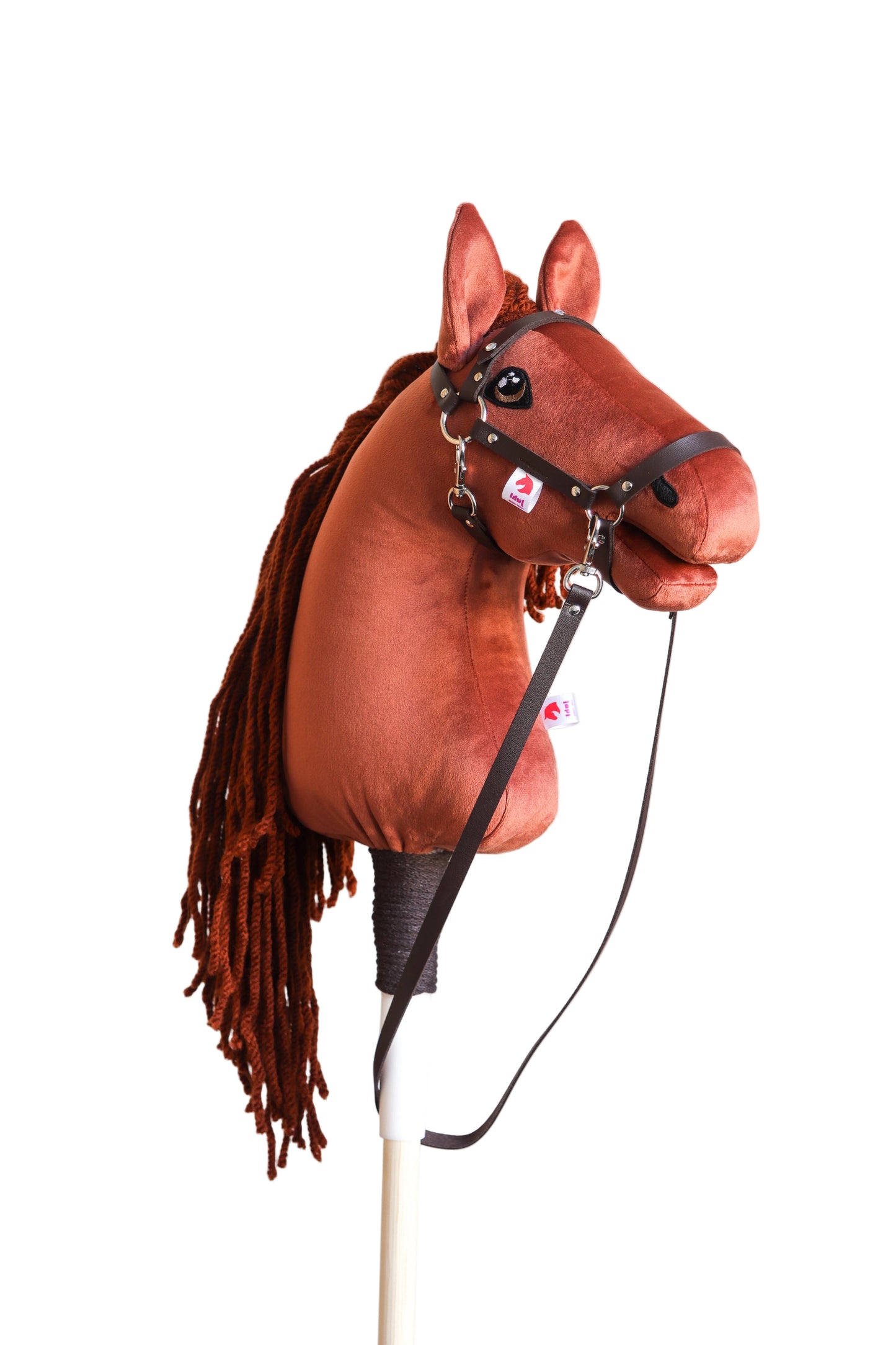 Terra - Rostige Mähne - Sportpony