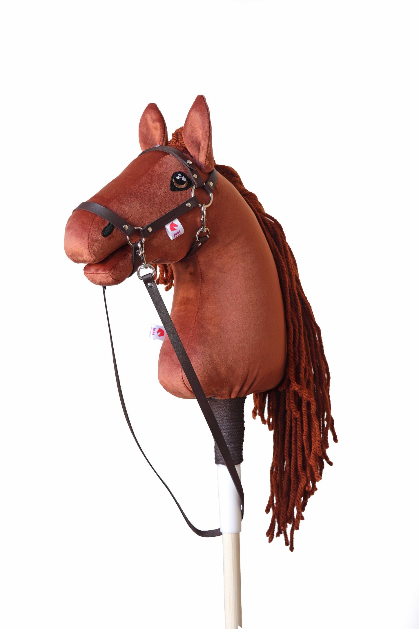 Terra - Rostige Mähne - Sportpony