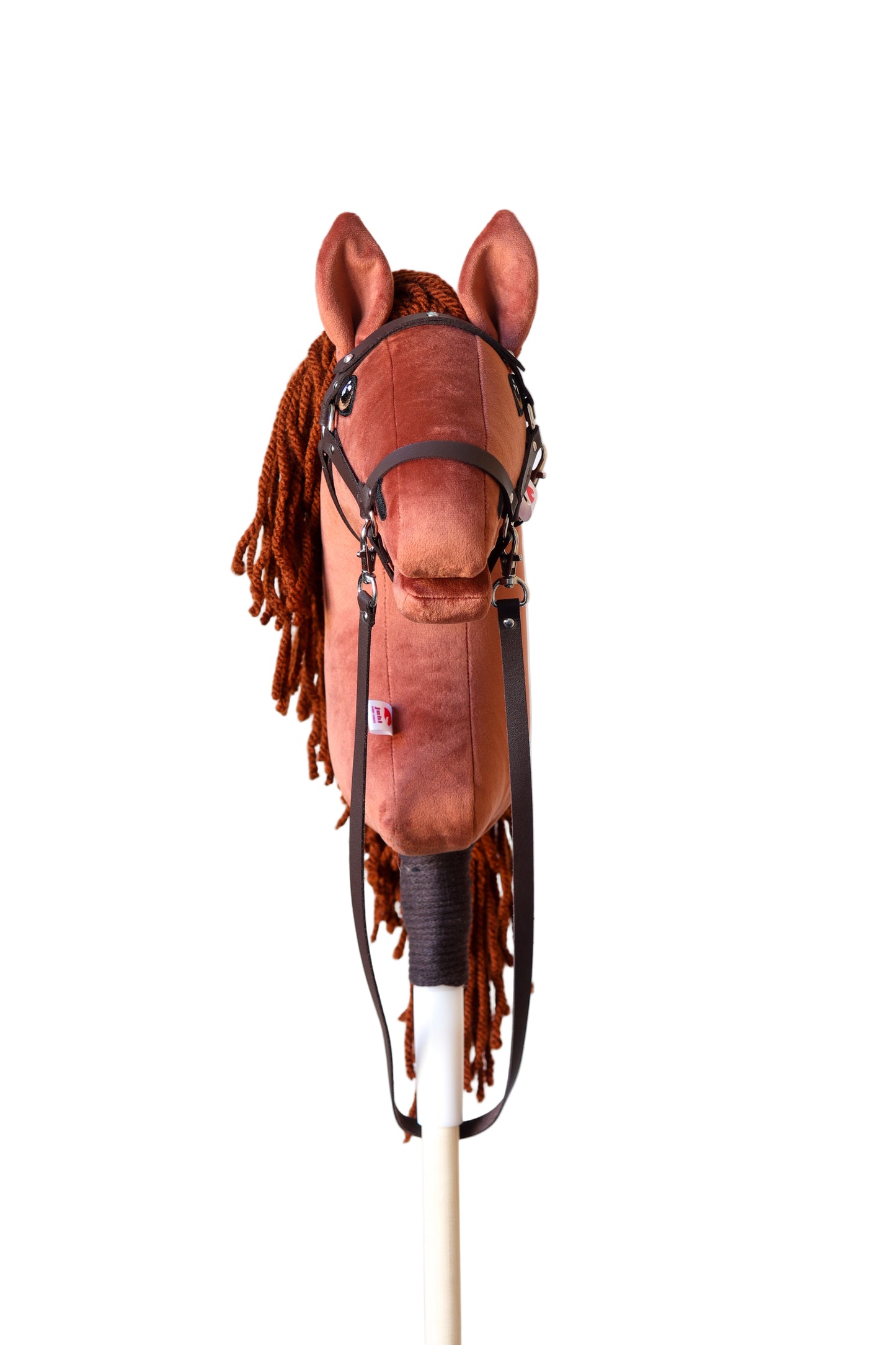 Terra - Rostige Mähne - Sportpony