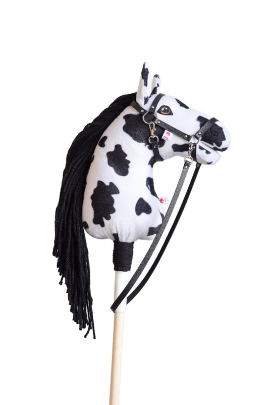 Dakota - schwarze Mähne - Sport Fohlen