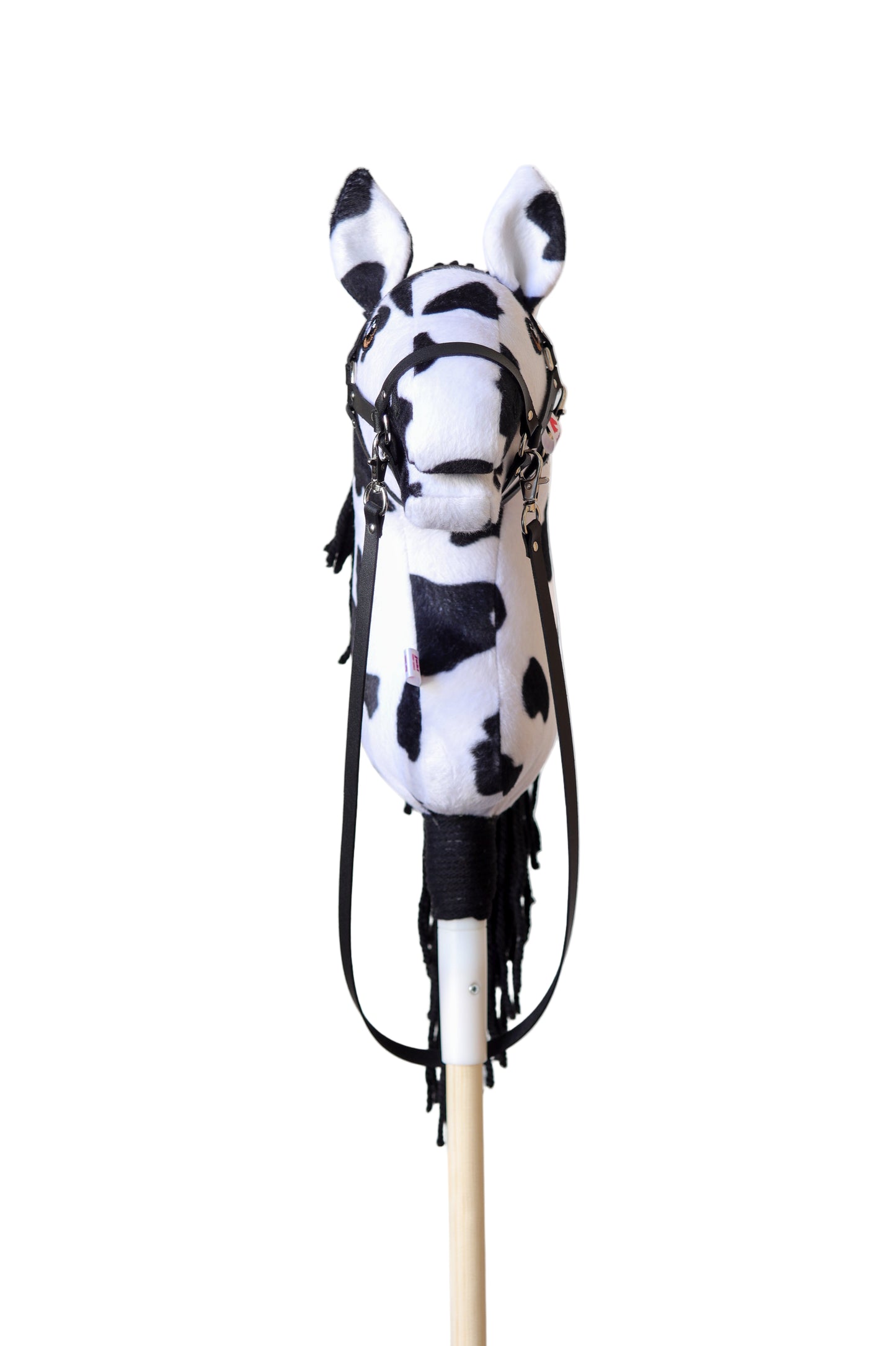 Dakota - schwarze Mähne - Sportpony