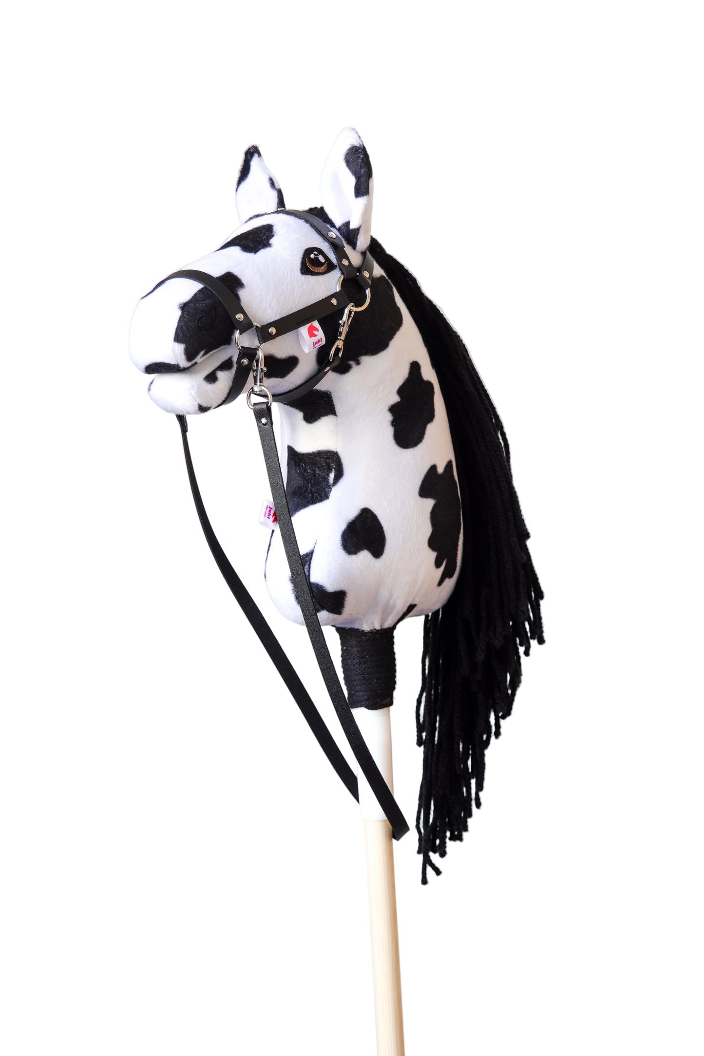 Dakota - schwarze Mähne - Sportpony