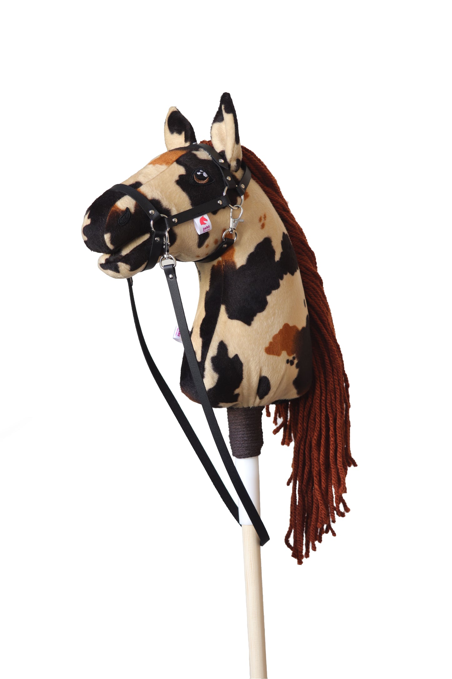 Monty - Rostige Mähne - Sportpony