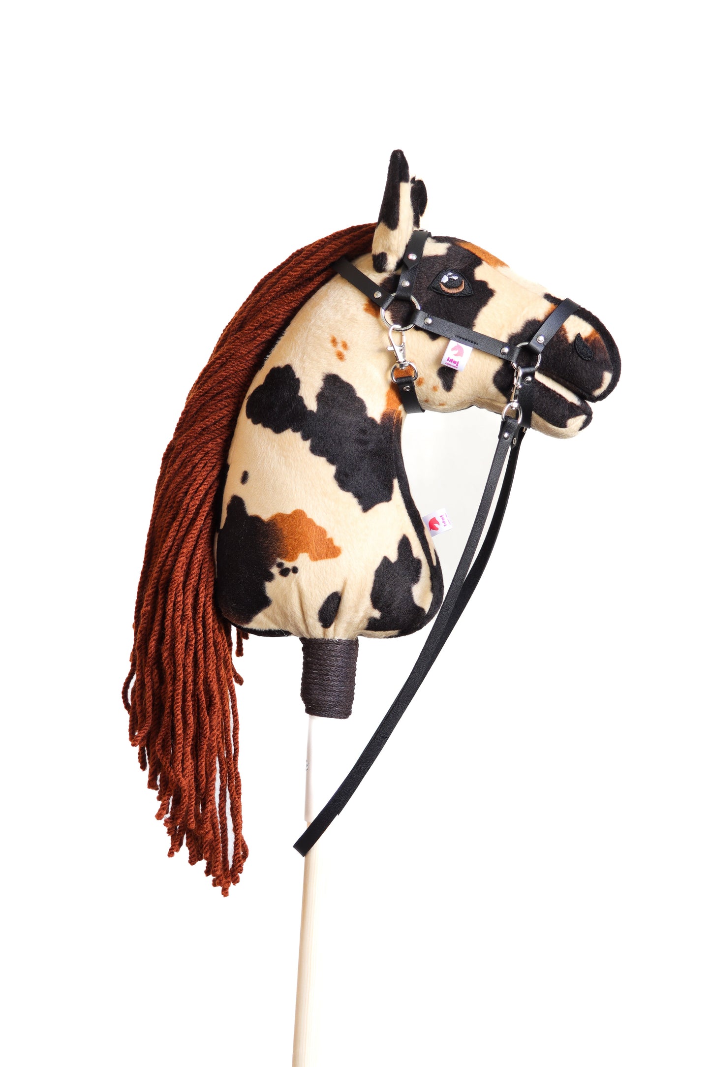 Monty - Rostige Mähne - Sportpony