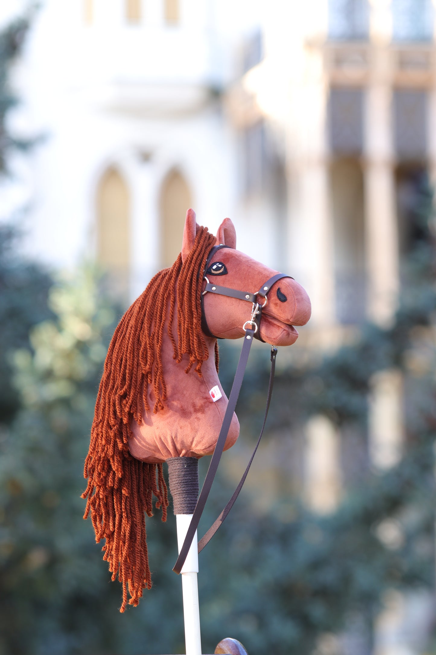 Terra - Rostige Mähne - Sportpony