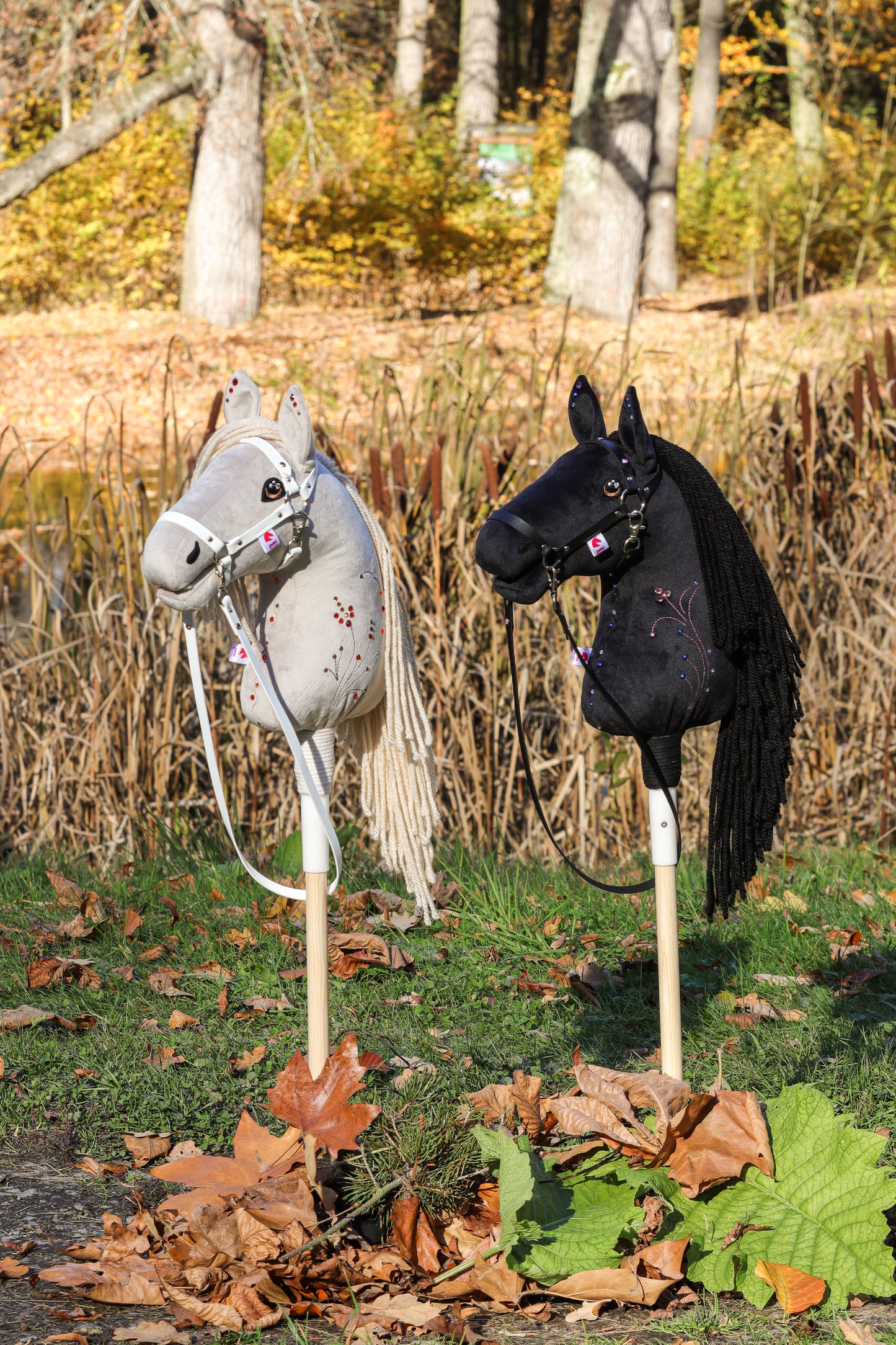 Black Diamond mit Swarovski-steinen - Sportpony