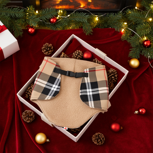 Decke Camel - Fohlen